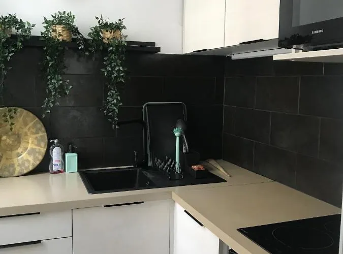 Appartement L'appart 45