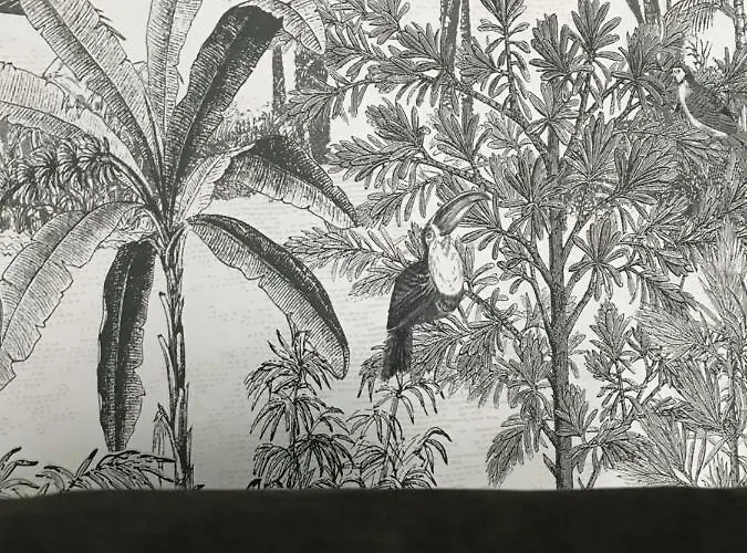 Appartement L'appart 45